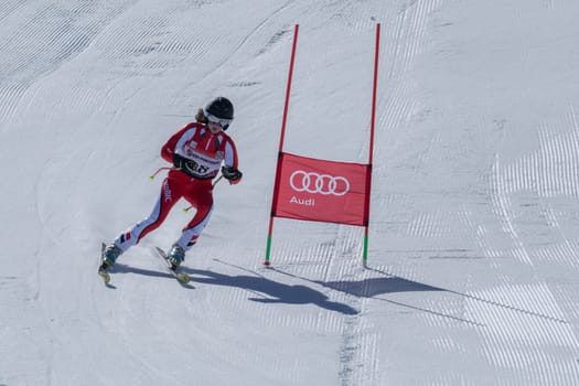 COVILHA, PORTUGAL - APRIL 2, 2017: Diana Baptista during the National Ski  Championships at Serra da Estrela, Covilha, Portugal.