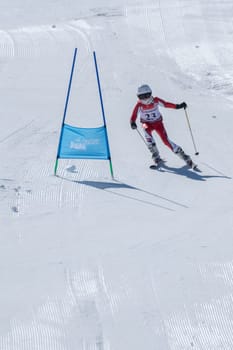COVILHA, PORTUGAL - APRIL 2, 2017:  Barbara Silva during the National Ski  Championships at Serra da Estrela, Covilha, Portugal.