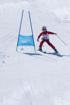 COVILHA, PORTUGAL - APRIL 2, 2017:  Leonor Carvalho during the National Ski  Championships at Serra da Estrela, Covilha, Portugal.