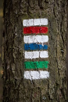Colorful signs for hiking on the bark of a tree
