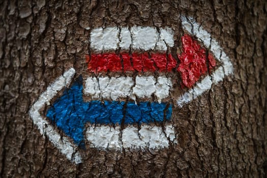 Colorful signs for hiking on the bark of a tree, arrow-shaped