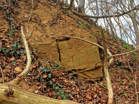 Remains of the wall of the Oberrommenburg near Schlat