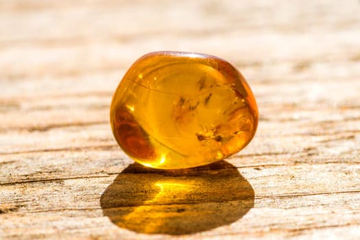 Amber with insect
