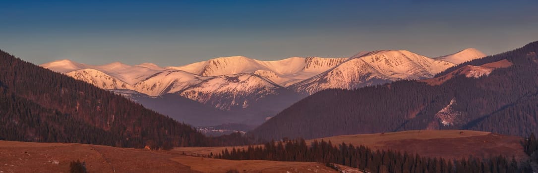 Early spring landscape in the mountains. Snowy Carpathians mountains range in the pink light of the morning sun.