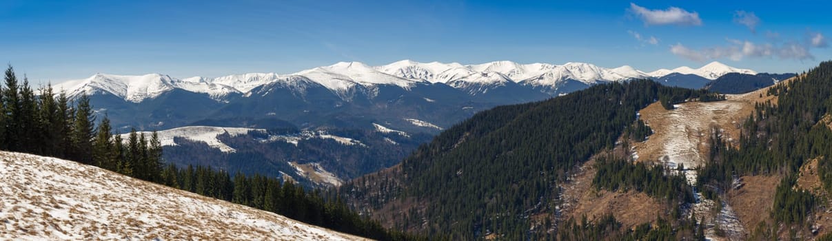 snowy mountain range in the light of the sun. early spring in the mountains. landscape. forest and field in the foreground