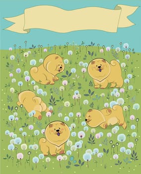Yellow puppies on the blossoming field. Chow-chow. Watercolor flowers and plants. Yellow banner in the sky for custom text. Illustration