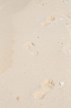 Copy space of footprint on sand beach texture background. Summer vacation