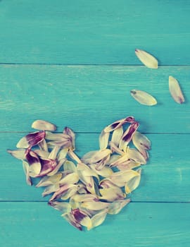 Heart shape of tulip leaves on a blue wooden background, vintage color toned