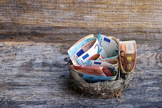 Save or spend money? Many euro notes in one nest