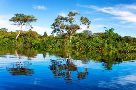 Beautiful reflection of the Amazon Rainforest in Brazil