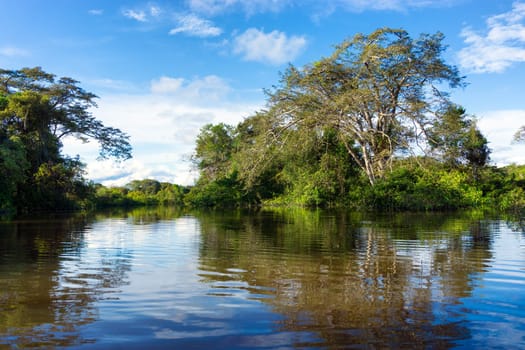 Flooded Amazon rain forest in Brazil