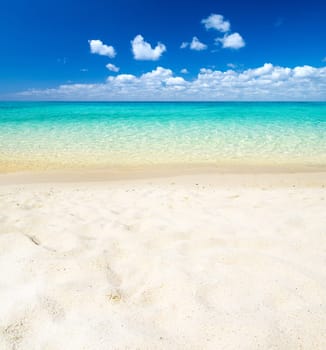 beach and tropical sea