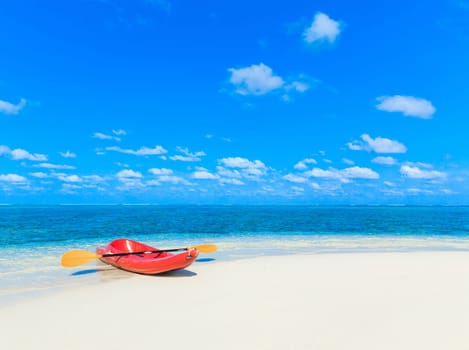 tropical beach in Maldives with few palm trees and blue lagoon
