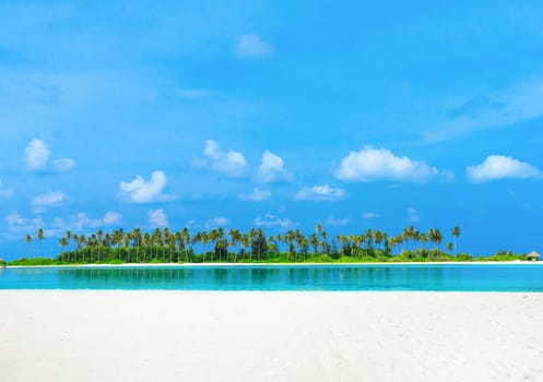 tropical beach in Maldives with few palm trees and blue lagoon