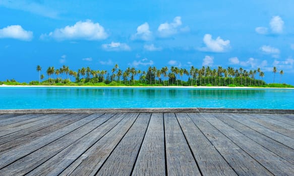 tropical beach in Maldives with few palm trees and blue lagoon