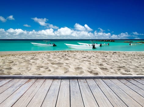beautiful beach and tropical sea