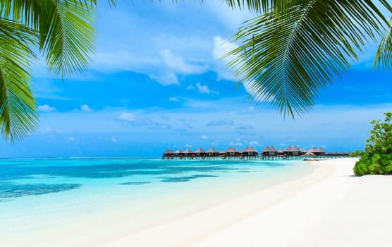tropical beach in Maldives with few palm trees and blue lagoon