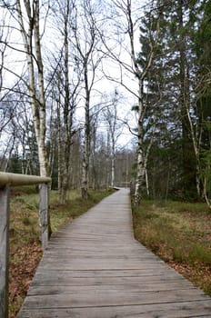 The Red Moor (Rhön)
