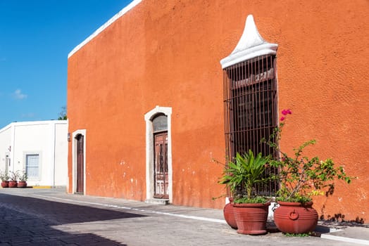 Potted plants and historic colonial buildings in Valladolid, Mexico