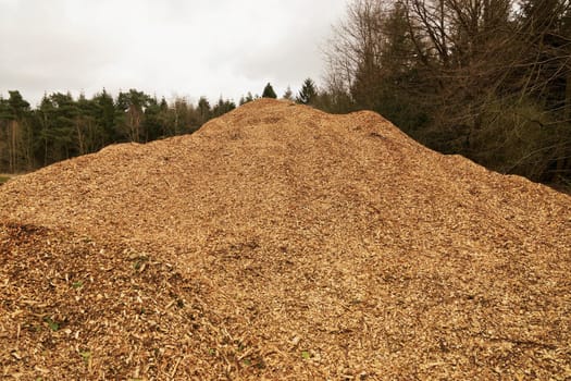Large pile of shredder wood