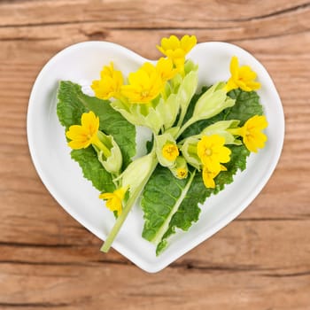Keyflower,homeopathy and cooking with medicinal herbs
