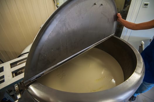 Cheese production at dairy farm, first stage - milk processing