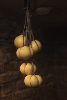 Domestic cheese ripening produced in the dark basement
