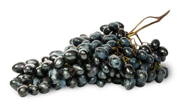 Big bunch of ripe dark grapes isolated on white background