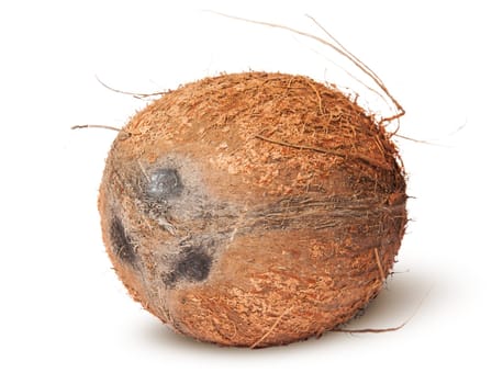 Closeup of coconut rotated isolated on white background