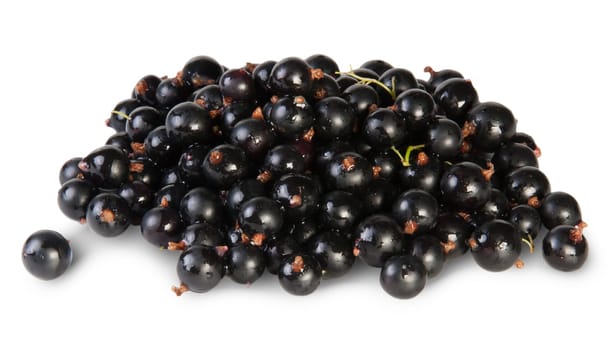 Fresh Black Currant Rotated Isolated On White Background