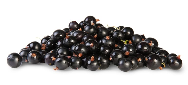 Fresh Black Currant Isolated On White Background