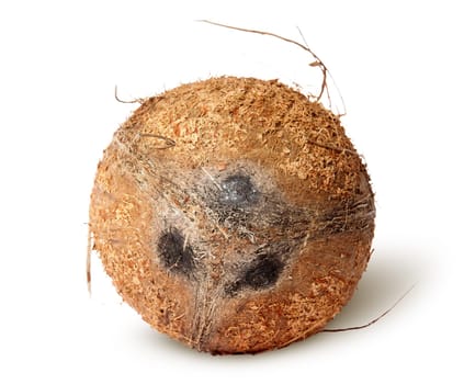 Coconut top view isolated on white background