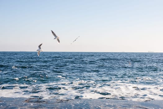 Picturesque panorama of the Black Sea in the city of Odessa
