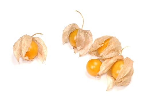 Physalis fruit isolated on white background.