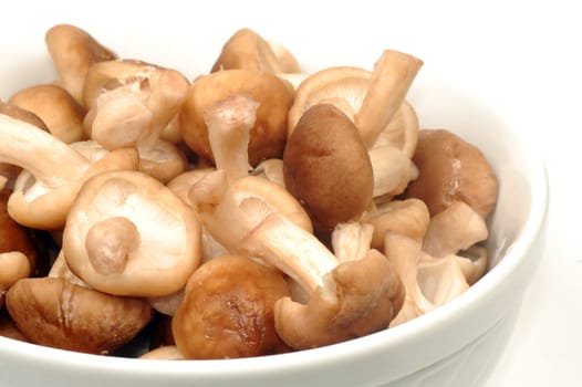 The shiitake mushrooms are in white plate on white background.