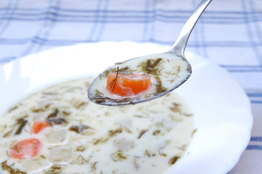 Vegetable soup with milk and spices.