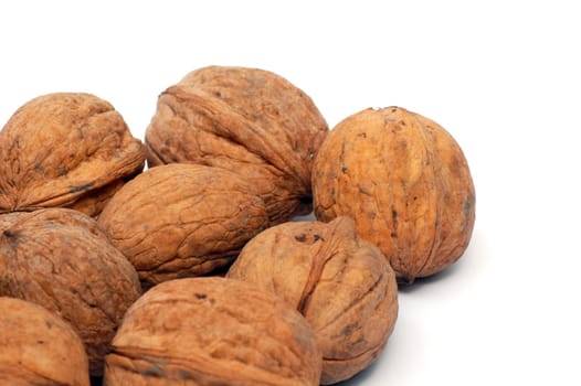 These are nuts in shell on white background.