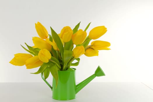 Yellow tulip bouquet on a light background