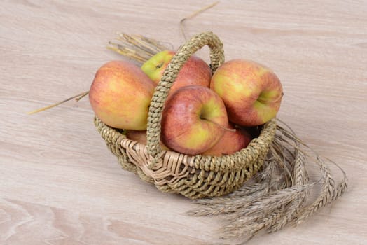 Apples without (New York)