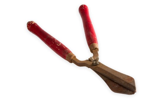 Old rusted pruning shears exposed on light hindr