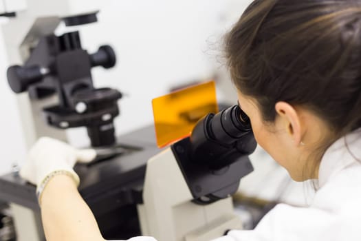 Life science female researcher microscoping in scientific genetic laboratory. Healthcare and biotechnology.