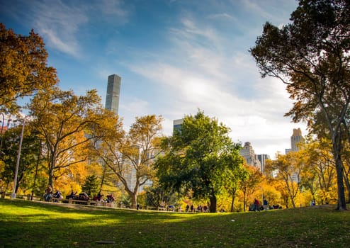 New York, USA, november 2016: Central park at sunny day , New York City