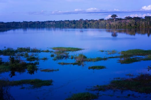 Late evening view of the Amazon Rain Forest in Brazil