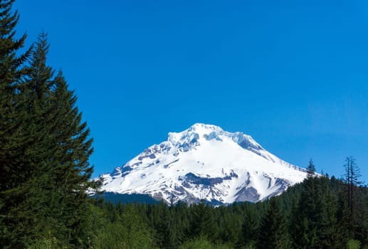 View of the snow capped peak of Mt Hood rising above Mount Hood National Forest