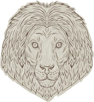 Drawing sketch style illustration of a lion big cat head with flowing mane viewed from front set on isolated white background.
