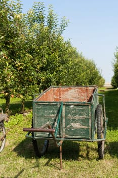 Old cart to pick the apples in an orchard