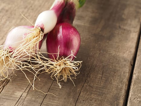 Healthy food concept with organic vegetables on a rustic wooden table, natural light with selective focus