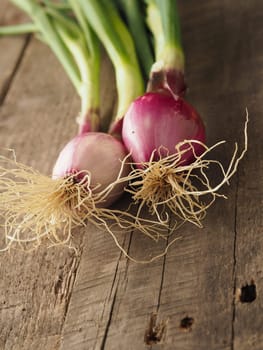 Healthy food concept with organic spring onions on a rustic wooden table, natural light with selective focus