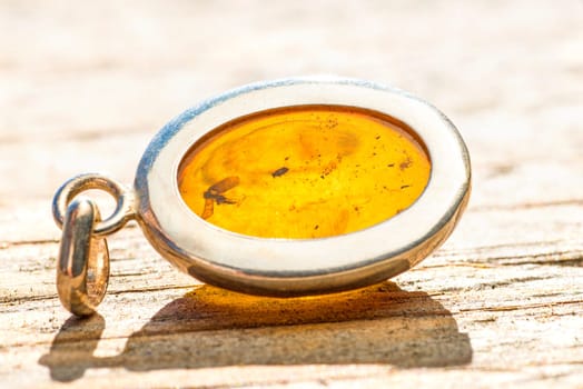 Amber with insect inclusions