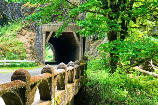 Tunnel in the forest in the Columbia River Gorge in Oregon